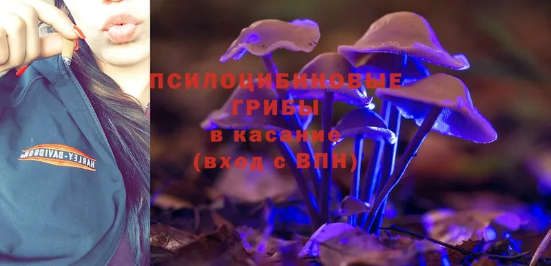 Галлюциногенные грибы MAGIC MUSHROOMS  Арамиль 