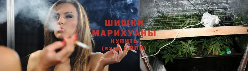 Конопля Ganja  где можно купить наркотик  Арамиль 